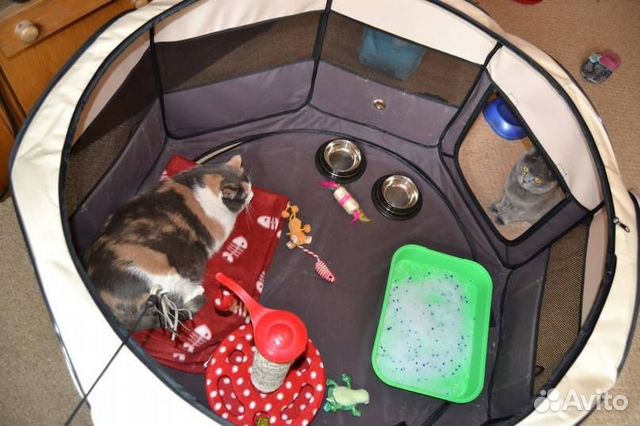 Манеж для котят Манеж для котят
