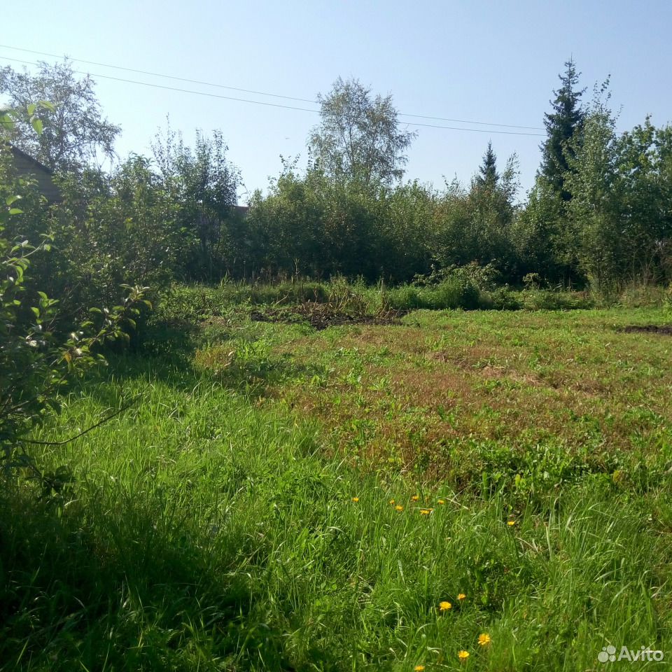 Купить Дача В Новгород В Панковке