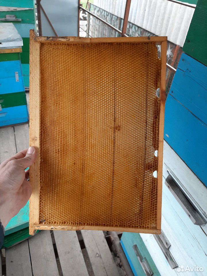 Сушь пчеловодная купить на Зозу.ру - фотография № 1