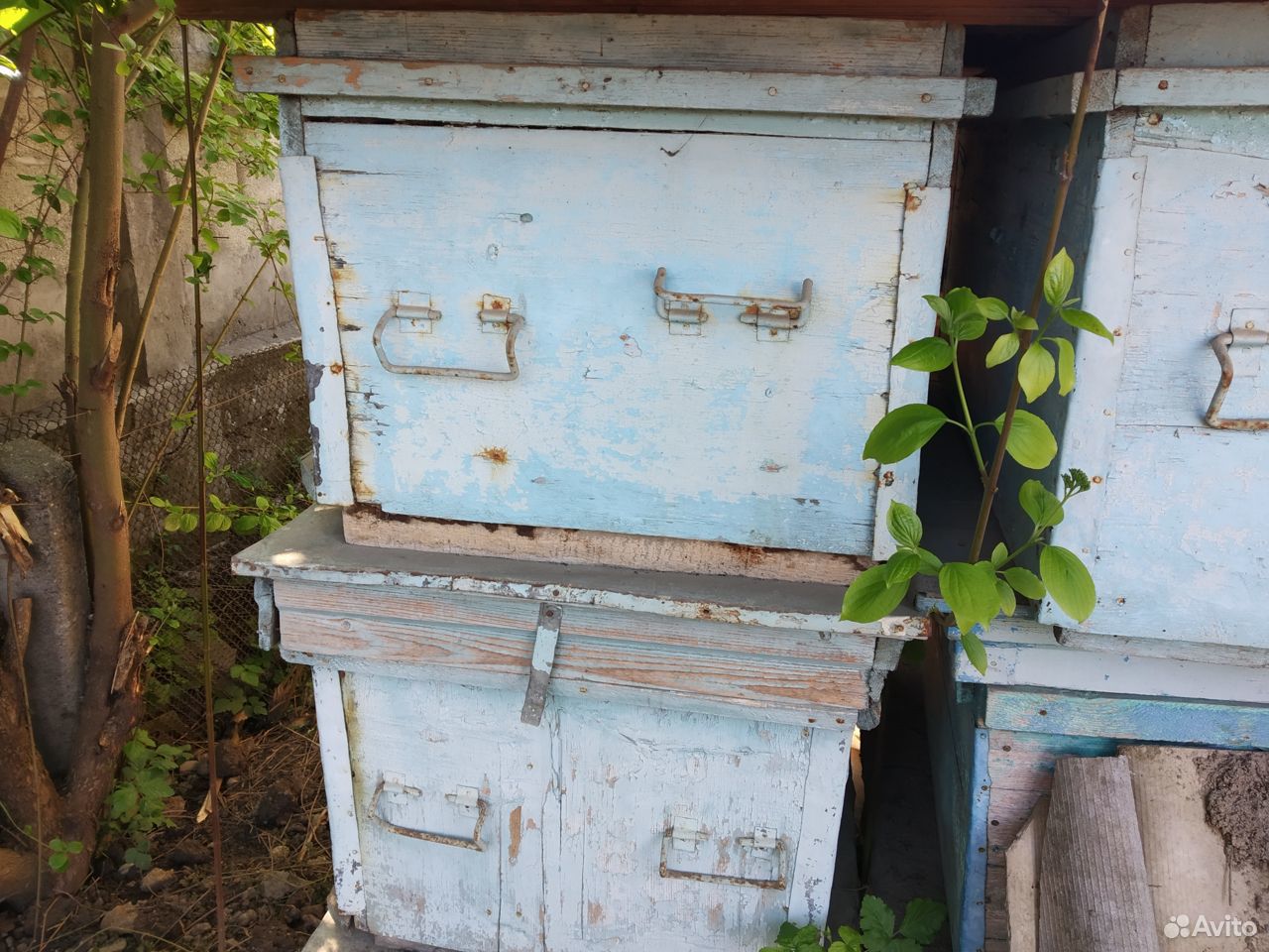 Пчелиные ящики купить на Зозу.ру - фотография № 5
