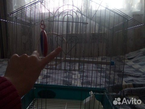 Клетка для попугая купить на Зозу.ру - фотография № 5