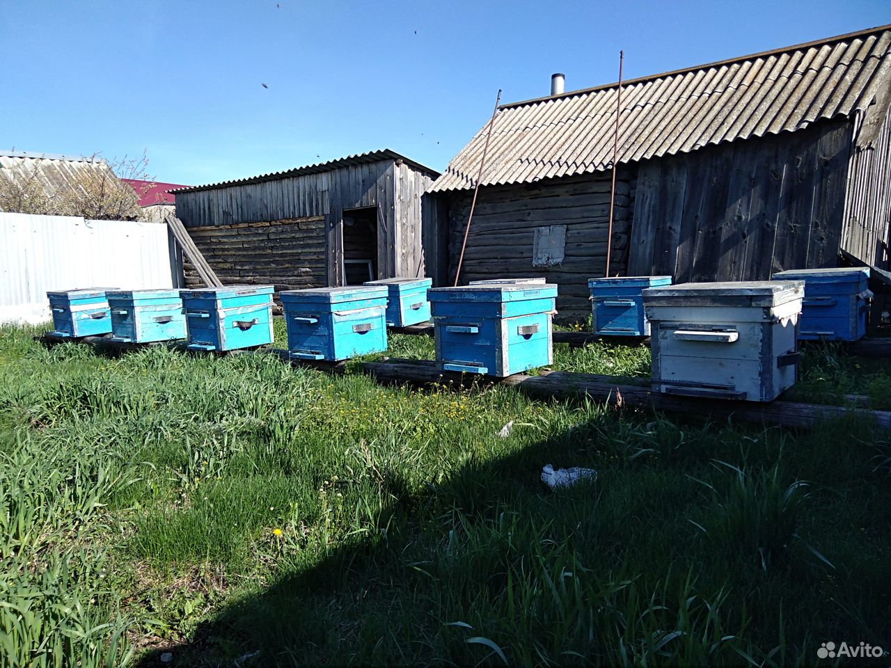 Пчелы и улья купить на Зозу.ру - фотография № 1