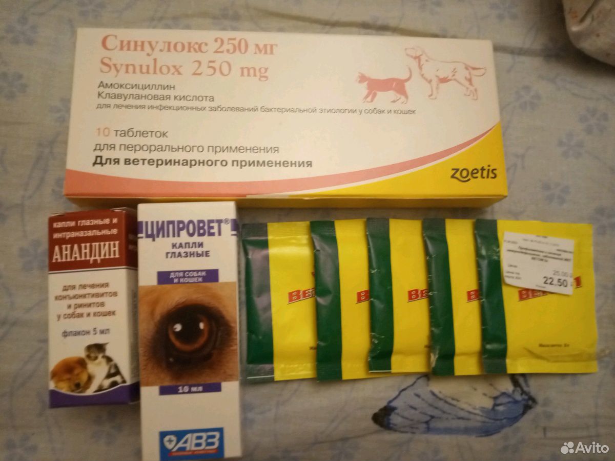 Лекарства для животных.Синулокс,анандин купить на Зозу.ру - фотография № 1