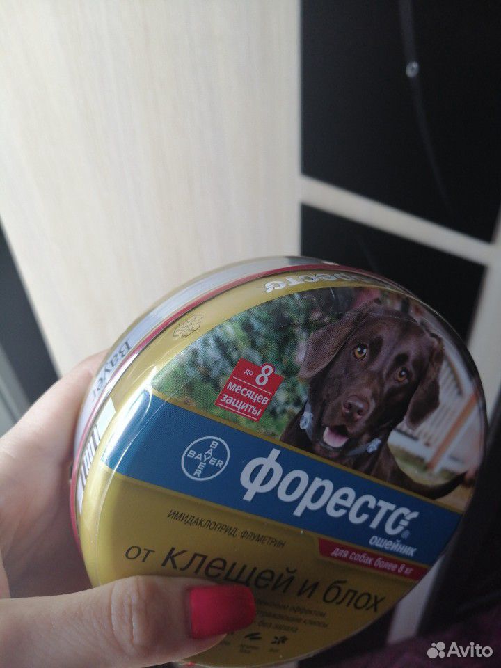 Продам совершенно новый ошейник для собак от клеще купить на Зозу.ру - фотография № 3