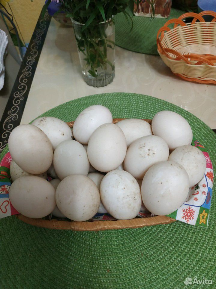 Яйца кур живущих в деревне Серпуховский район купить на Зозу.ру - фотография № 1