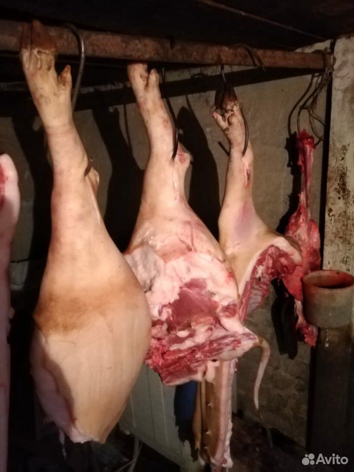 Мясо свинины домашнее купить на Зозу.ру - фотография № 1