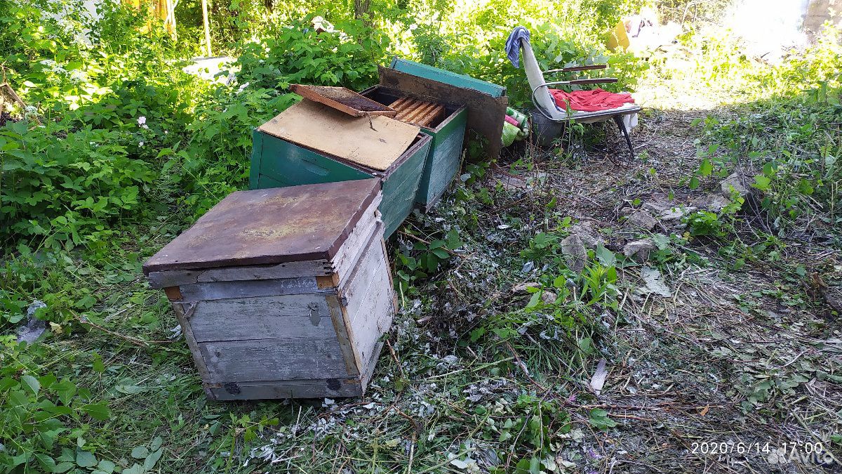 Рамки пчелиные, ульи и медогонка купить на Зозу.ру - фотография № 3