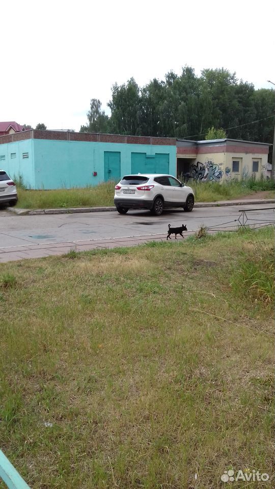 Кто потерял маленькую собачку купить на Зозу.ру - фотография № 2