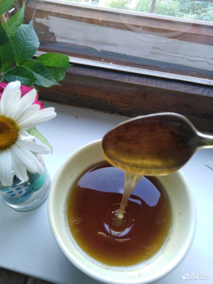 Продажа мёда купить на Зозу.ру - фотография № 1