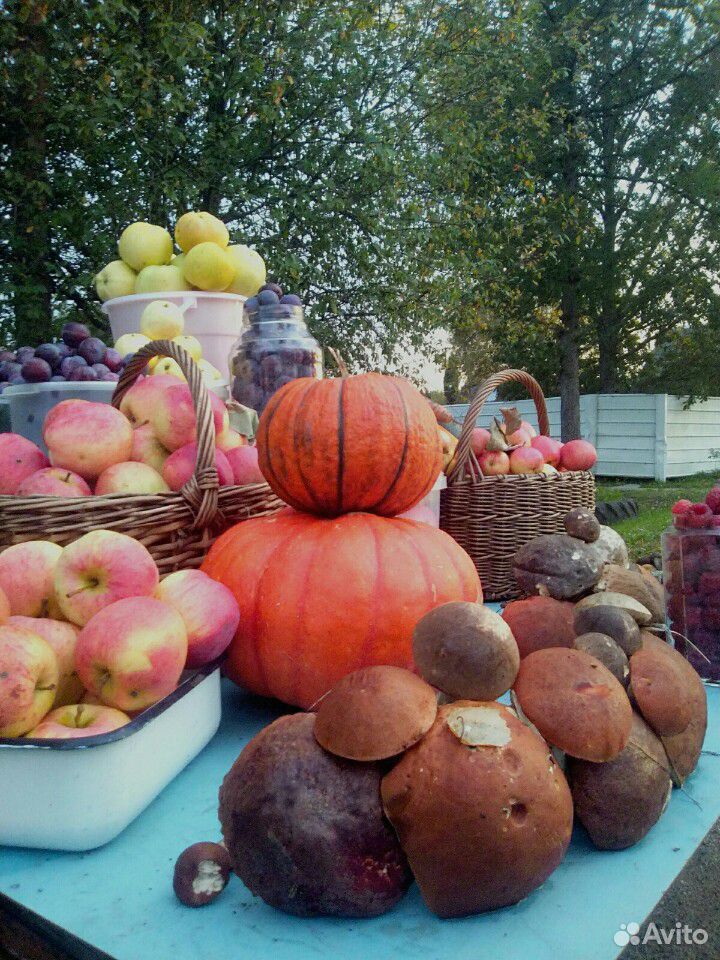 Домашнее фрукты, овощи,грибы,ягоды купить на Зозу.ру - фотография № 2
