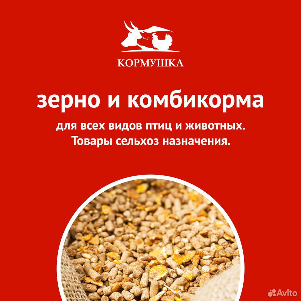 Рыбий жир купить на Зозу.ру - фотография № 2