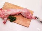 Помогу реализовать мясо кролика объявление продам
