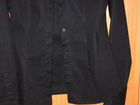 Рубашка Roberto Cavalli оригинал объявление продам