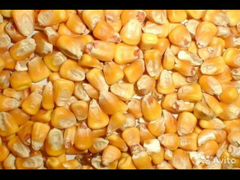 Пшеница Кукуруза Мука