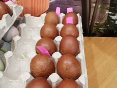 Инкубационное яйцо кур породы маран
