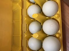 Инкубационное яйцо курица Араукана