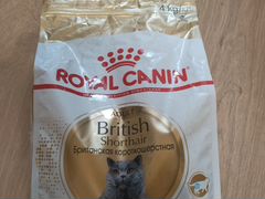 Корм для кошек Royal canin британская короткошерст
