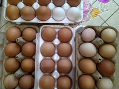 Продаю Яйца деревенские (респ, мордовия)