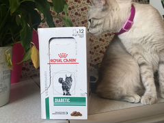 Влажный корм для кошек Royal canin diabetic