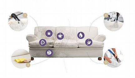 Химчистка ковров и мягкой мебели у Вас дома
