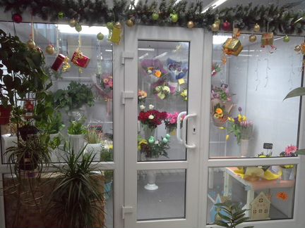 Б/У - Холодильная камера - витрина для цветов