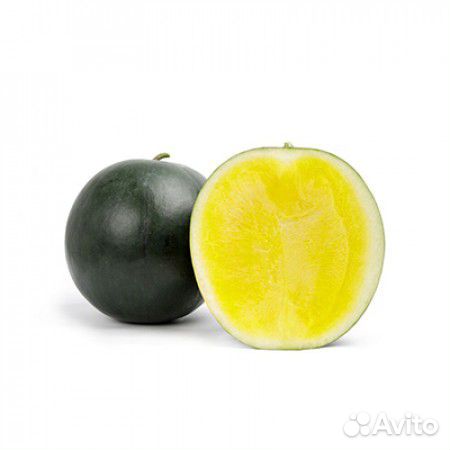 Семена Арбуза 