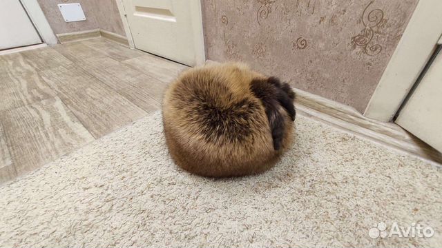 Женский лисий берет, разм (56-58)