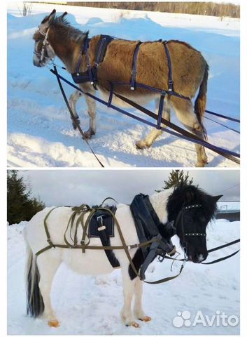 Упряжь, уздечки для пони, ослика