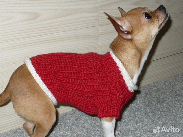 Свитера для маленьких собак купить на Зозу.ру - фотография № 3