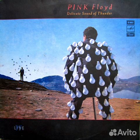 Pink Floyd Delicate Sound Of Thunder 1989