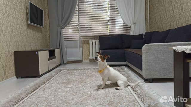 

1-к. квартира, 31,5 м², 2 кровати