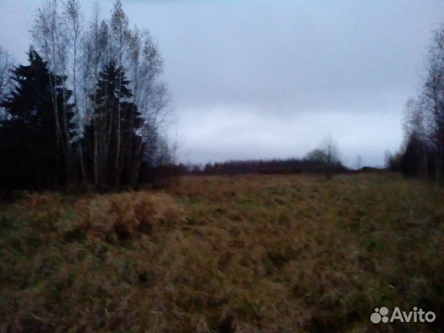 Участок 3.15 га (ИЖС) Участок 3.15 га (ИЖС)