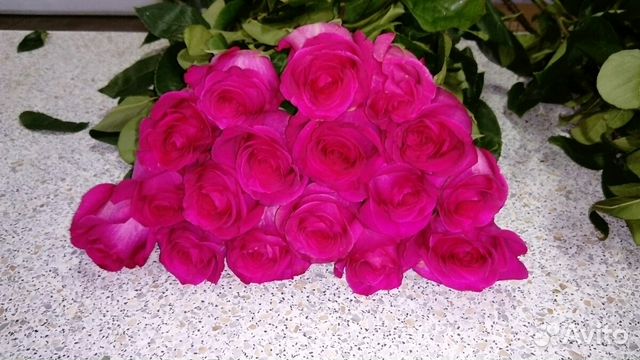 Букеты, доставка, цветы Пермь, Роза 150-190 см