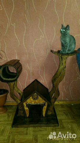 Домик для любимых кошек купить на Зозу.ру - фотография № 1