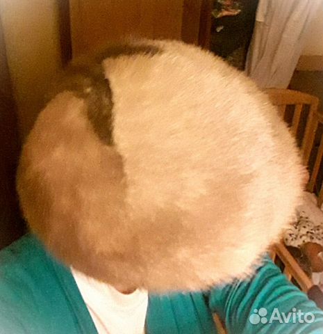 Берет из норки