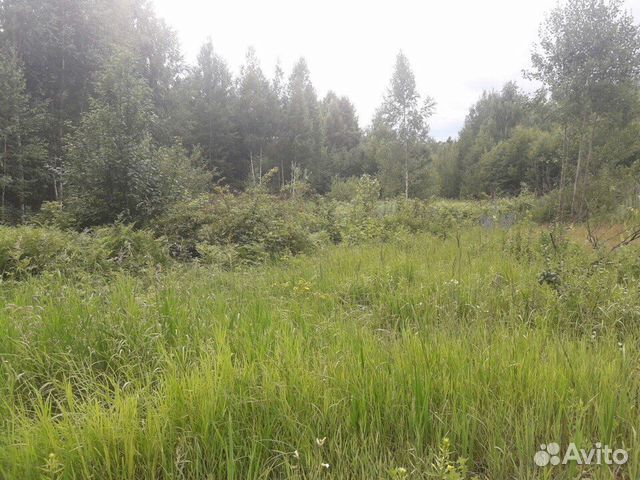 Участок 10 сот. (ИЖС)