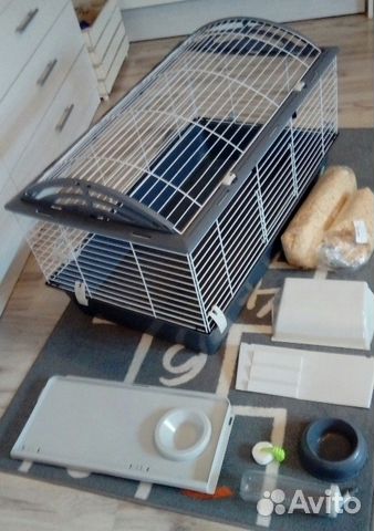 Клетка Клетка