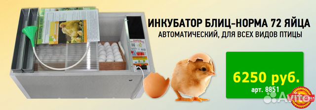 Блиц норма на 72 яйца. Инкубатор для яиц блиц норма на 72. Инкубатор «блиц» 72 цифровой. Инкубатор на 72 яйца блиц-норма цифровой. Инкубация в инкубаторе блиц норма 72.