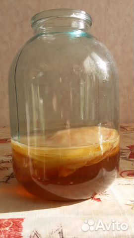 Чайный гриб Чайный гриб