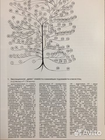 Справочник Фауна мира - Птицы Справочник Фауна мира - Птицы