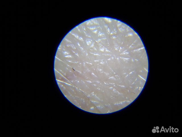 Новый карманный мини-микроскоп 60x-100x ootdty Новый карманный мини-микроскоп 60x-100x ootdty