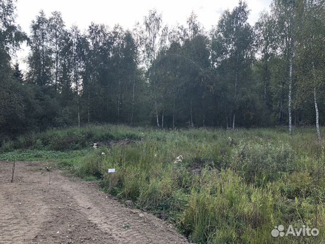 Участок 16.6 сот. (СНТ, ДНП) Участок 16.6 сот. (СНТ, ДНП)