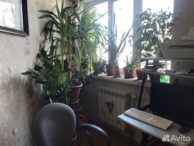 3-к квартира, 76.2 м², 4/12 эт.