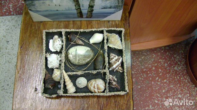 Набор редких ракушек в + старинный камень с фото купить на Зозу.ру - фотография № 1