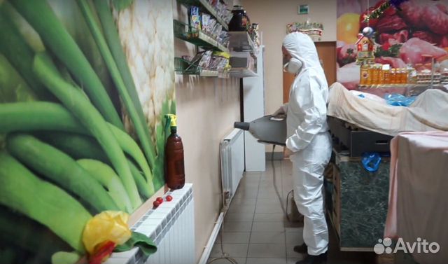 Уничтожение клопов и тараканов в Кемерове