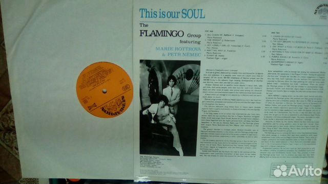 Flamingo Group. This is our soul 1131024 Flamingo Group. This is our soul 1131024