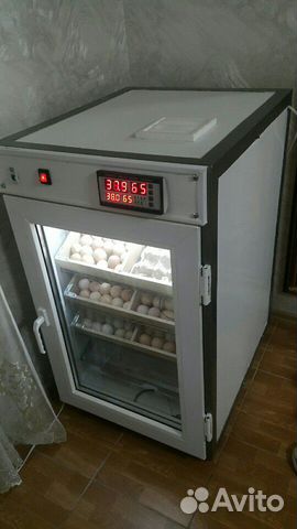 Инкубатор 550 яиц купить на Зозу.ру - фотография № 4