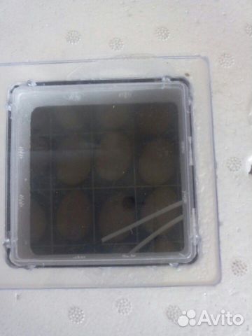 Инкубатор,на 28 яиц,автопереворот купить на Зозу.ру - фотография № 1