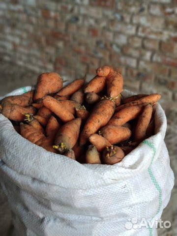 Второй сорт морковь купить на Зозу.ру - фотография № 6