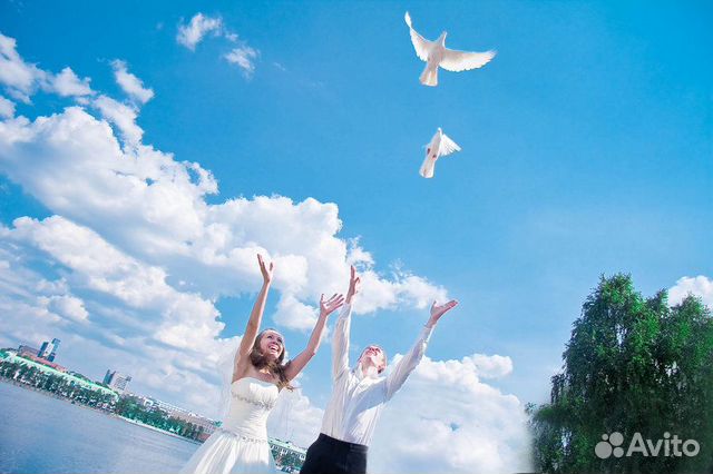 Голуби на свадьбу купить на Зозу.ру - фотография № 4